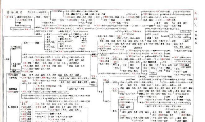 奇葩格斗家阿蒙出装攻略（一统江湖的关键装备是什么？）