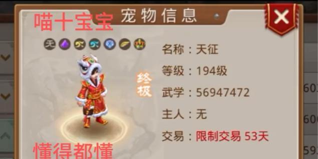 问道手游宠物装备搭配攻略（探索最佳装备搭配，助您战胜所有敌人！）