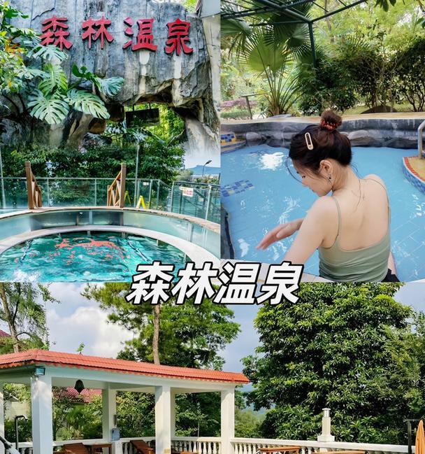 《探索清远温泉攻略游戏的乐趣》（欢迎来到清远温泉世界，享受天然美景和疗养休闲！）