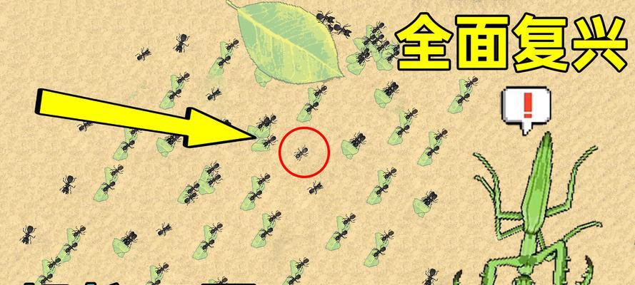 蚂蚁战争游戏14关攻略（如何通过策略与合作赢得游戏中的战争）